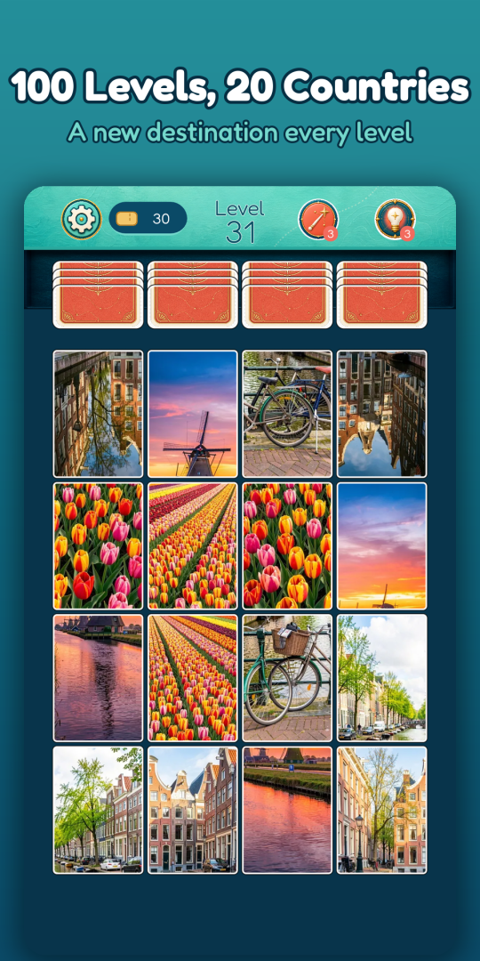 Level 31 — tulips, canals and windmills